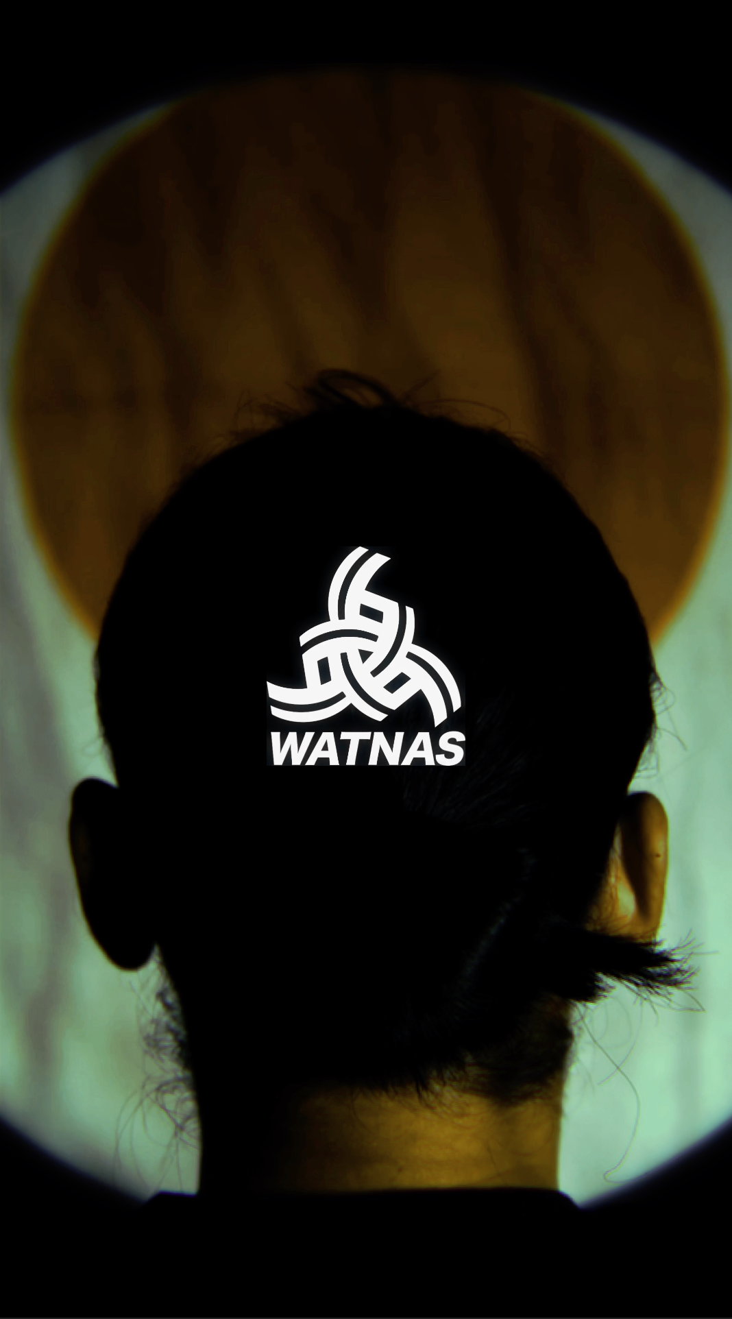 動画を読み込む: 