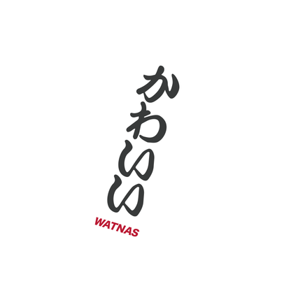 WATNAS "IRASSHAI_いらっしゃい" 7.5 oz Garment Dye Drop Shoulder T-Shirts